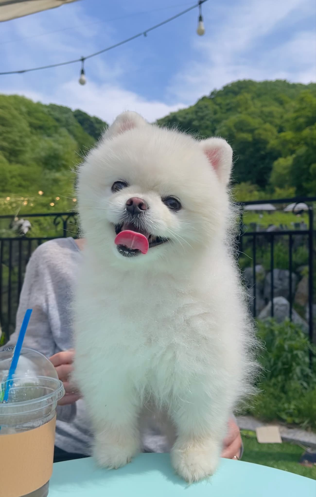 NUPY AR 포토카드