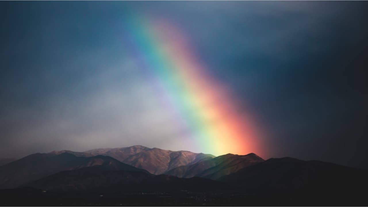Rainbow Company